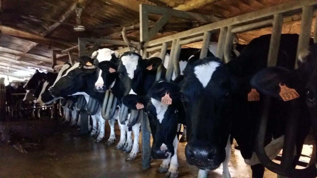 Charmante Maison A La Ferme Valderies Luaran gambar