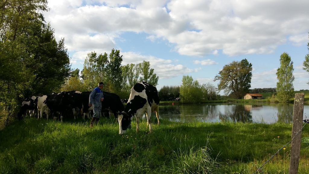 Charmante Maison A La Ferme Valderies Luaran gambar
