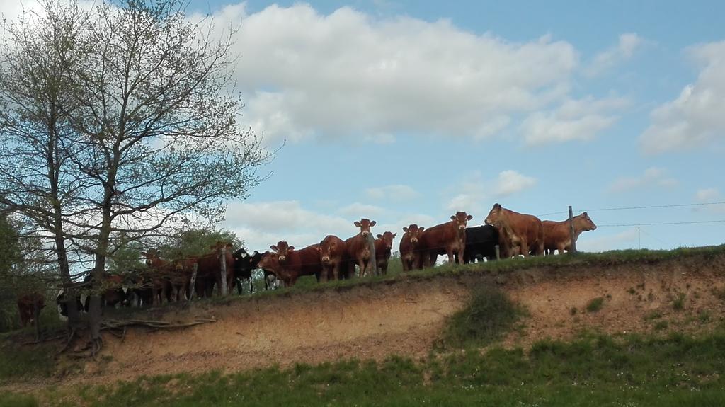 Charmante Maison A La Ferme Valderies Luaran gambar