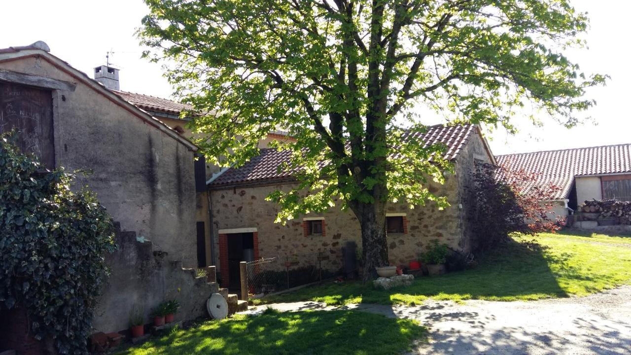 Charmante Maison A La Ferme Valderies Luaran gambar